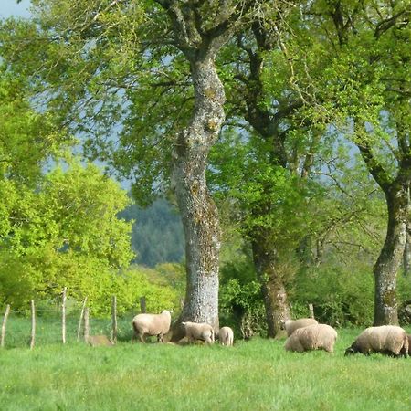 Maison De Campagne Ideale Pour Familles, Cavaliers, Animaux Acceptes, Avec Jardin Clos Et Tout Equipe. - Fr-1-489-172 Vila Barrais-Bussolles Exterior foto